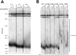 Figure 3—figure supplement 3.