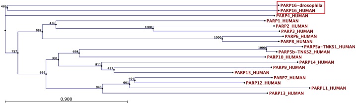 Figure 3—figure supplement 2.