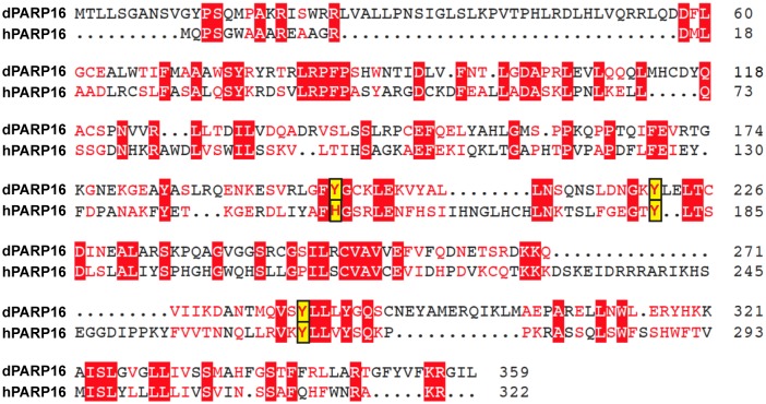 Figure 3—figure supplement 3.