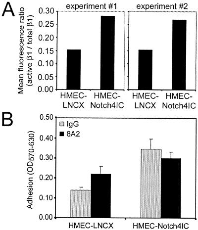 FIG. 8.