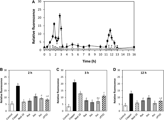 Figure 5.