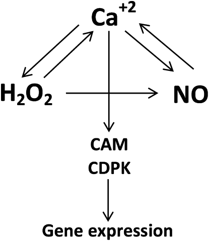 Figure 7.