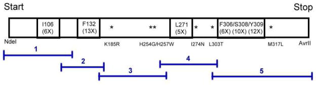 Scheme 3