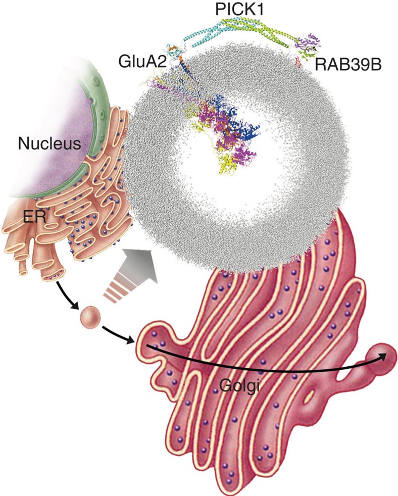 Figure 9