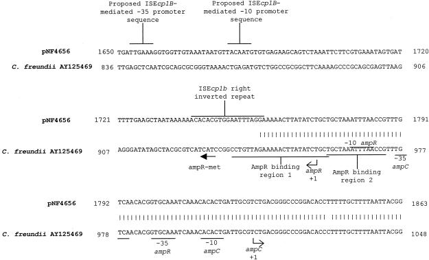 FIG. 6.