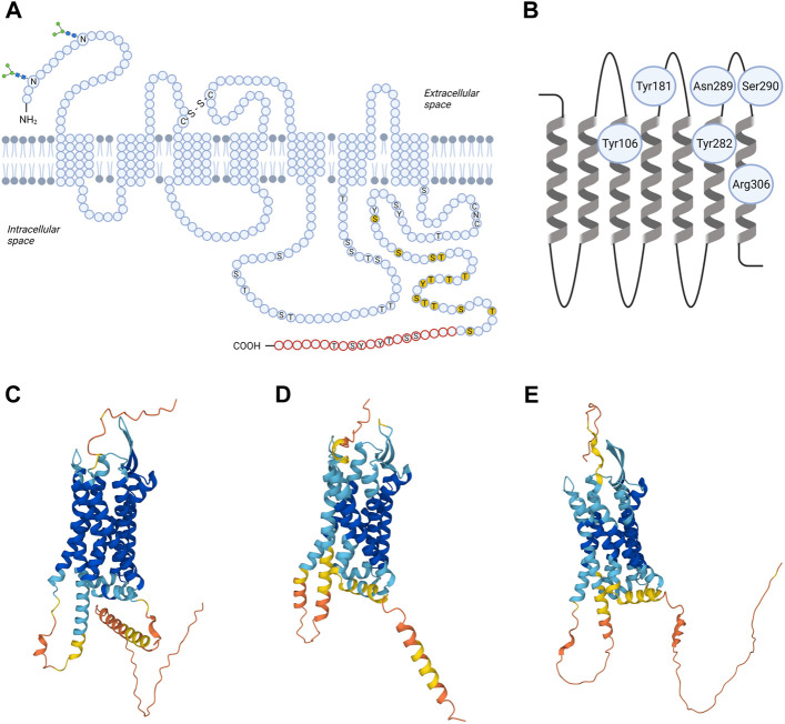 FIGURE 1