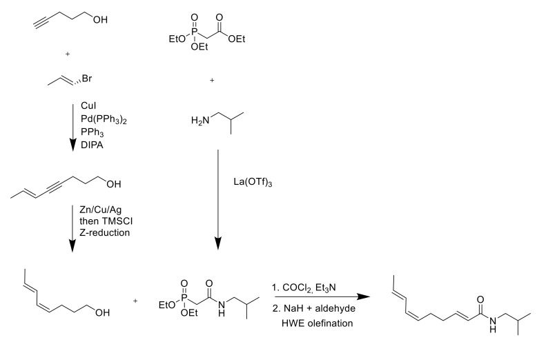 Scheme 4