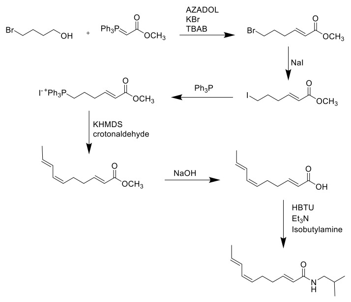 Scheme 5