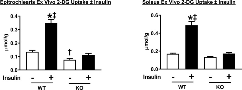 Fig 10