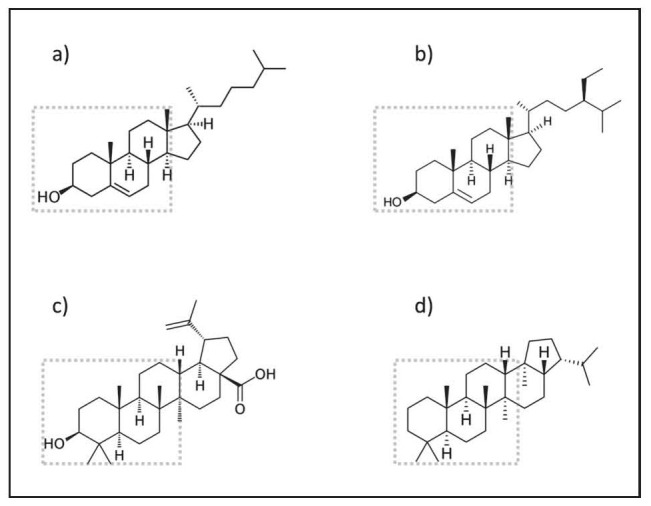 Figure 2.