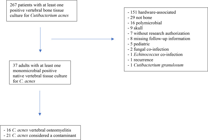 Figure 1