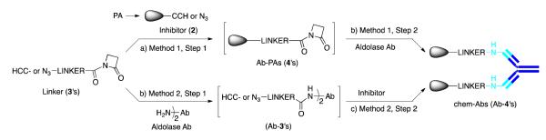 Scheme 1