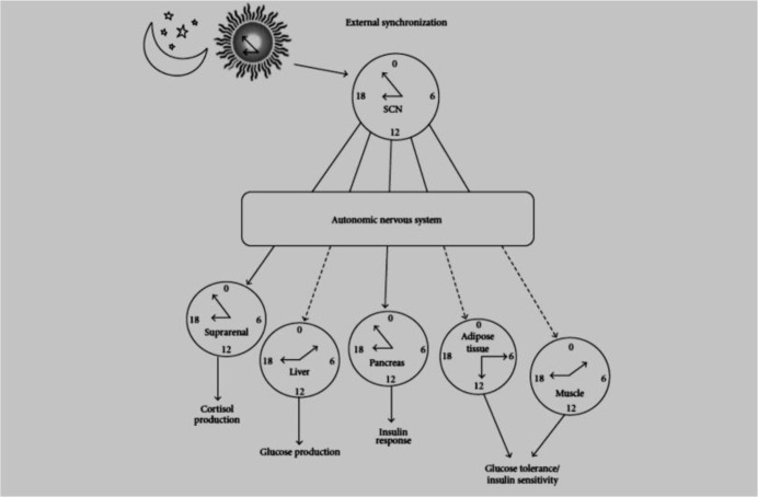 Fig. 3: