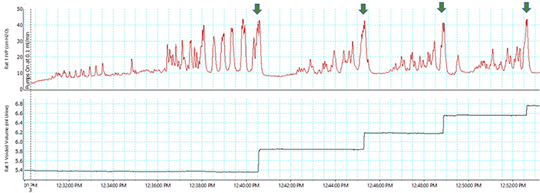 Figure 6.