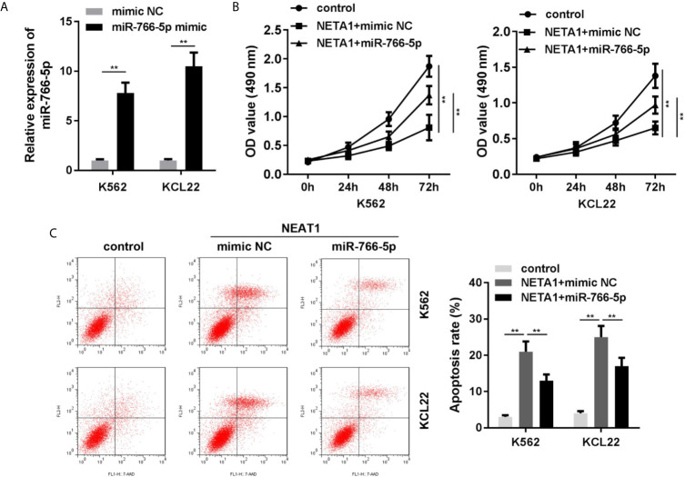 Figure 4