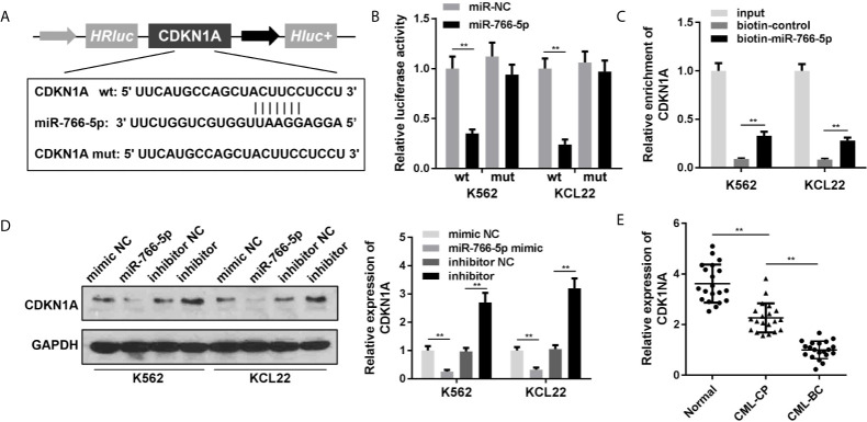 Figure 5