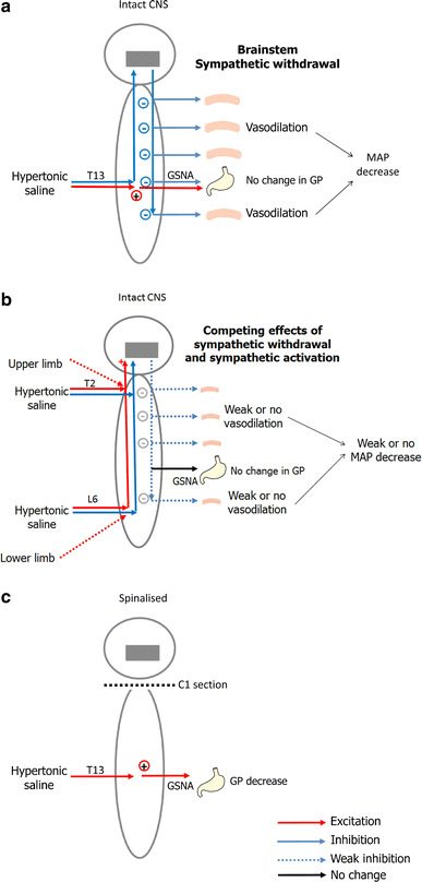 Fig. 6