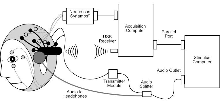 Figure 1