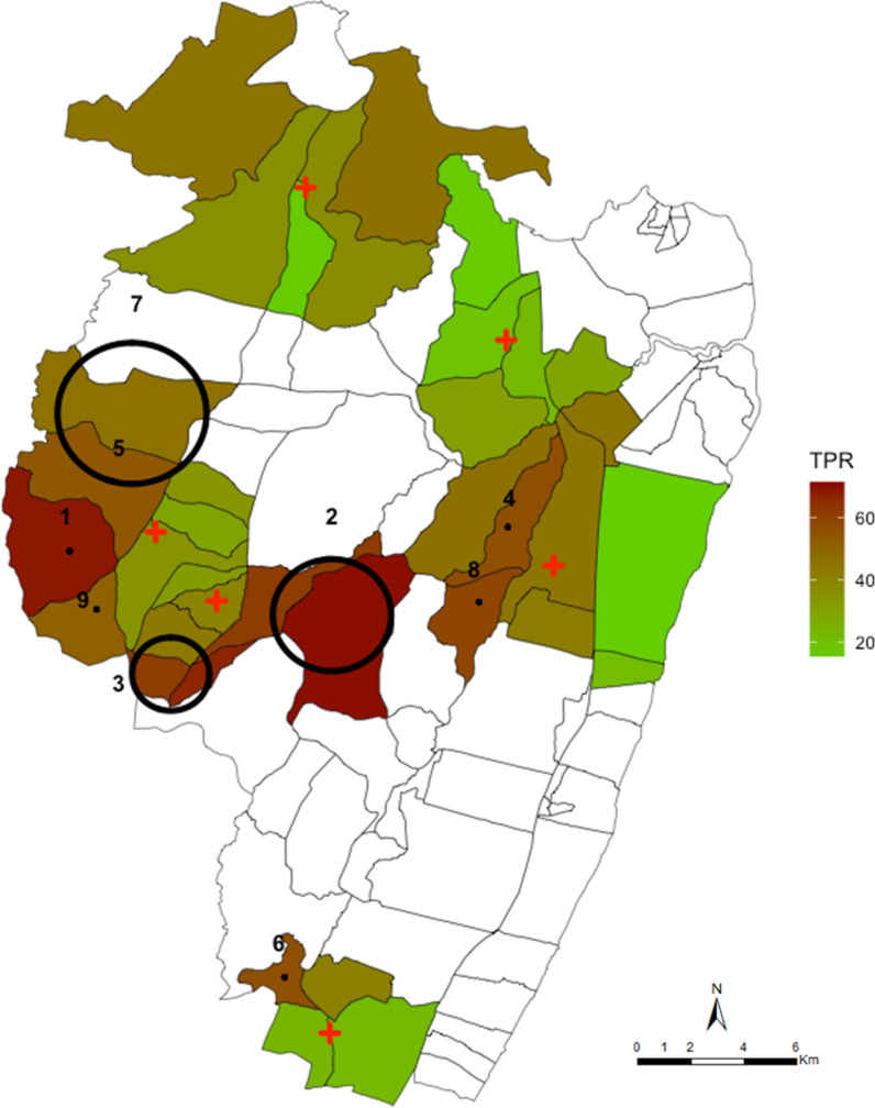 Fig. 3