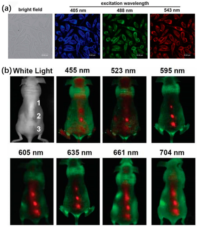 Figure 21