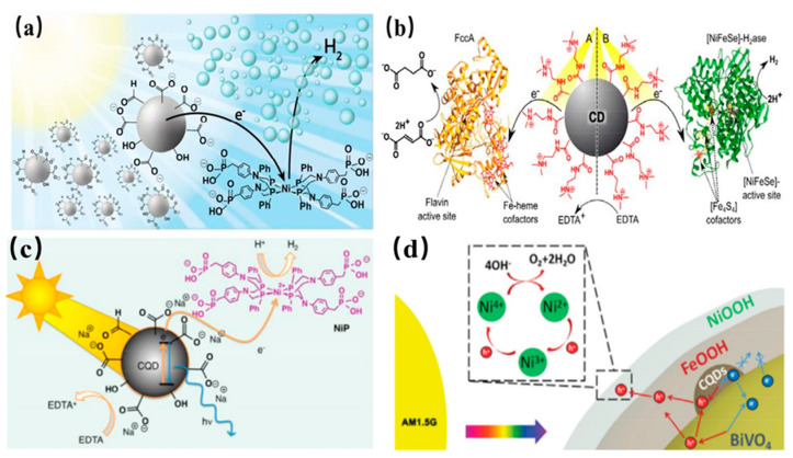 Figure 24