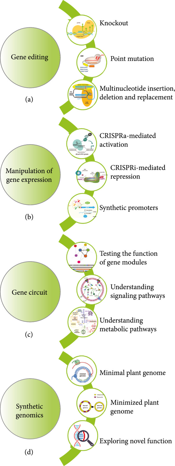 Figure 10