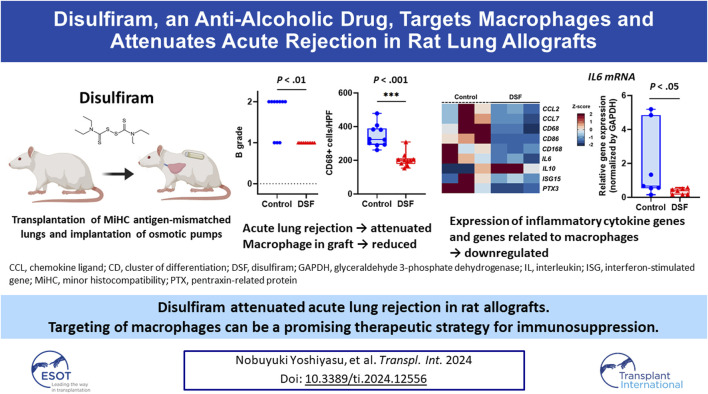 graphic file with name TI_ti-2024-12556_wc_abs.jpg