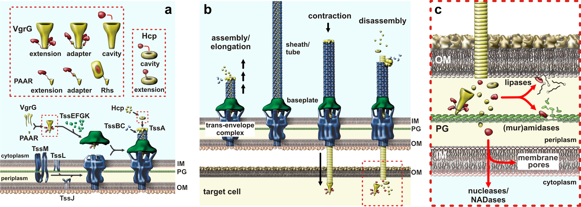 Figure 5.