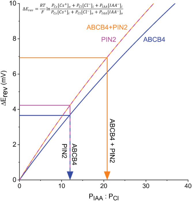 FIGURE 4