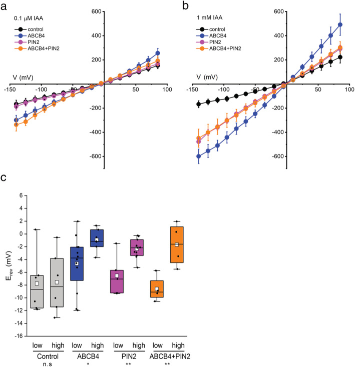 FIGURE 3