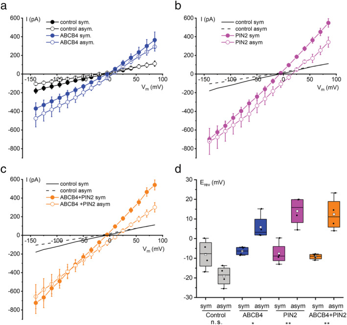 FIGURE 2