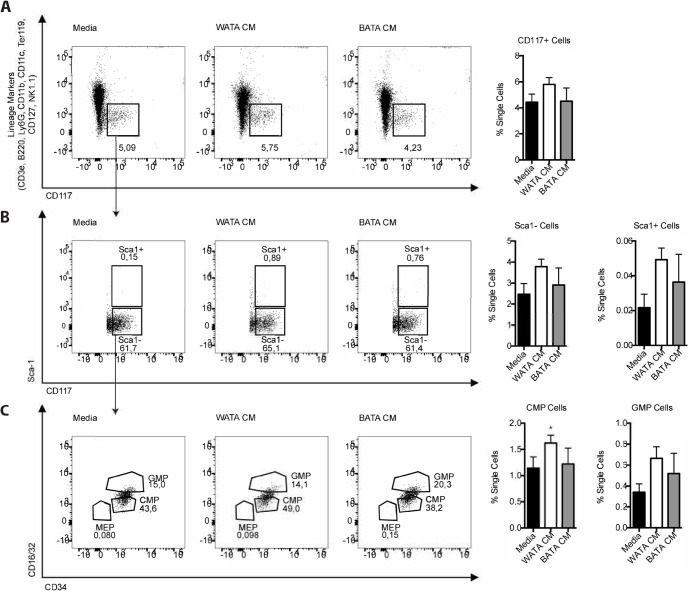 Figure 7—figure supplement 1.