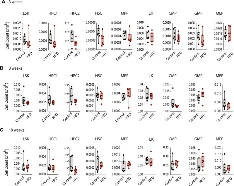 Figure 2—figure supplement 2.