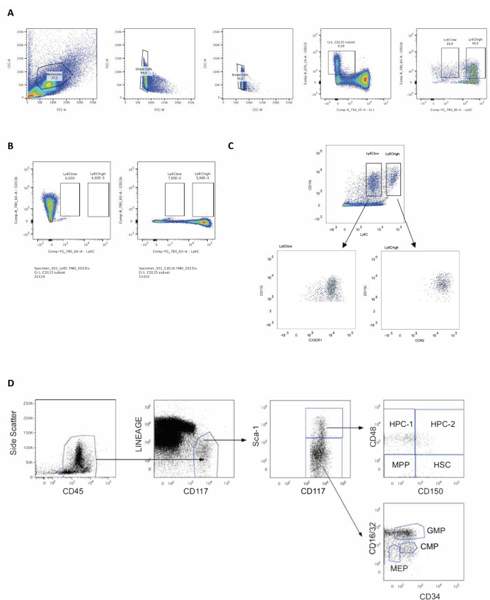 Figure 2—figure supplement 1.