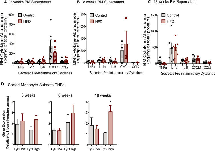 Figure 3—figure supplement 1.