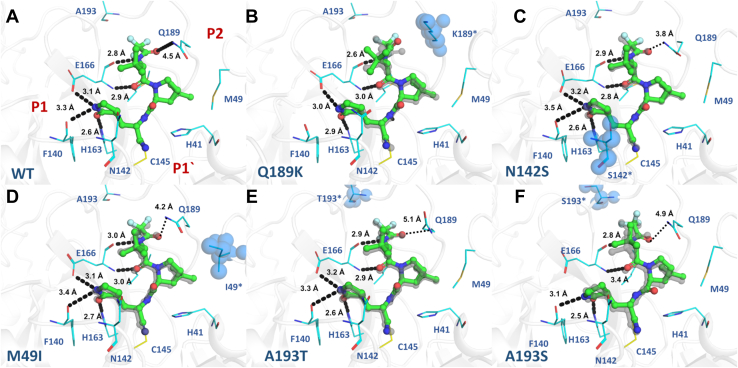 Figure 4