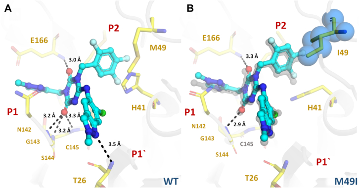 Figure 6