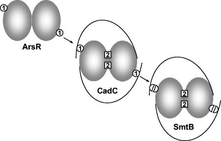 FIG. 6.