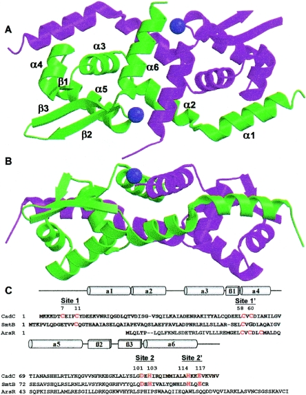 FIG. 1.