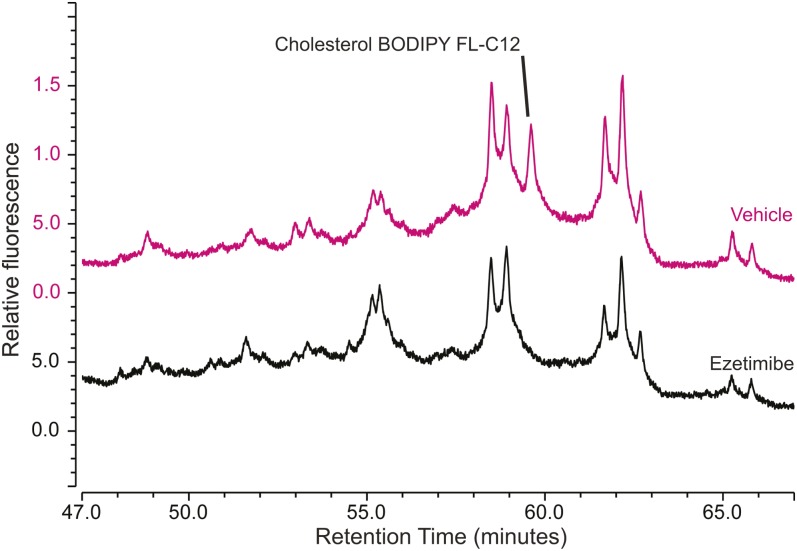 Fig. 8.