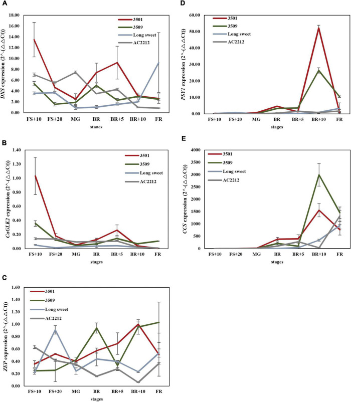 FIGURE 4