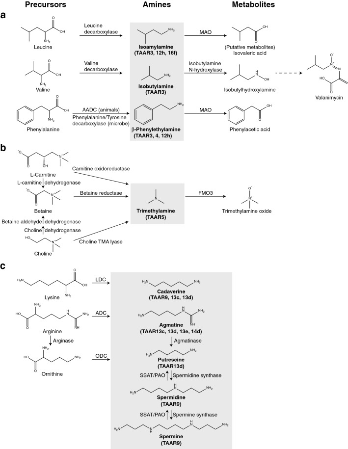 Fig. 4