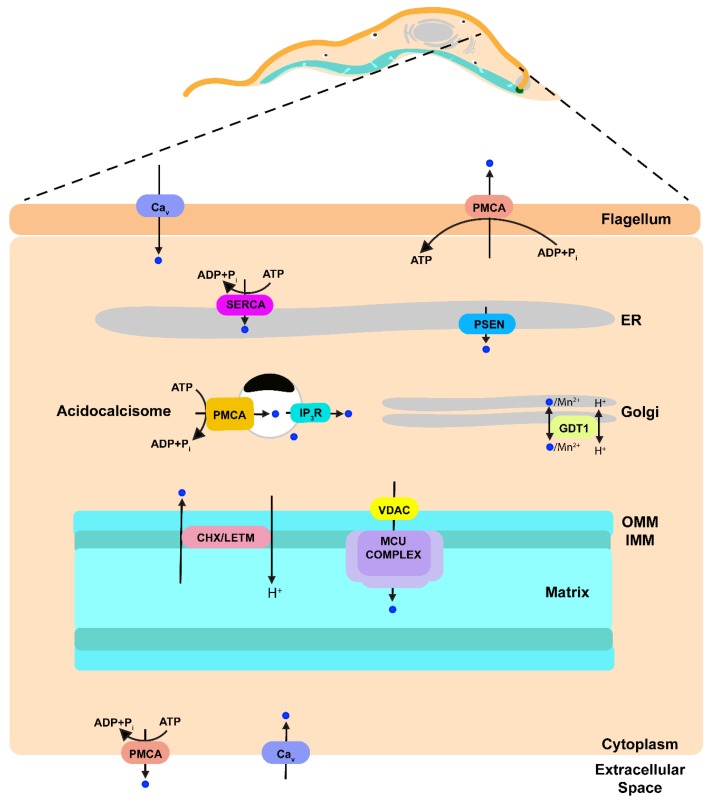 Figure 2