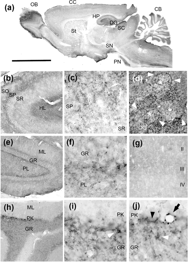 Fig. 10.