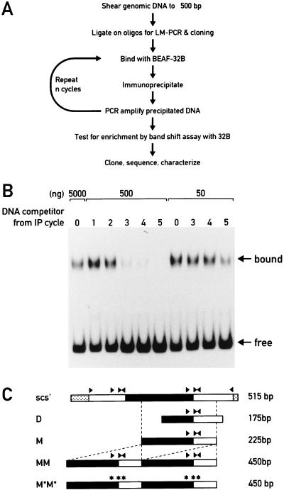 FIG. 1