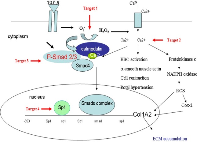 Fig 7