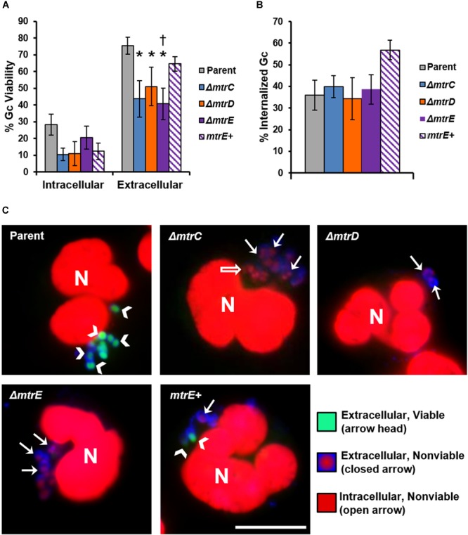 FIGURE 3