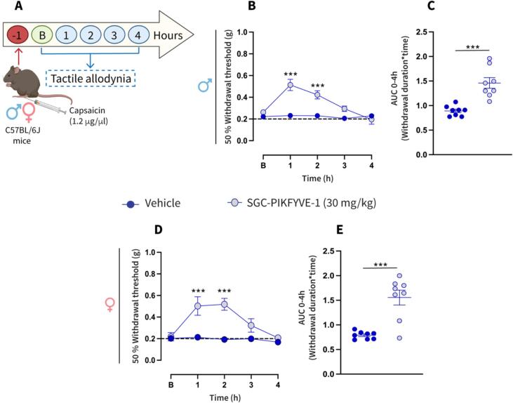 Fig.7