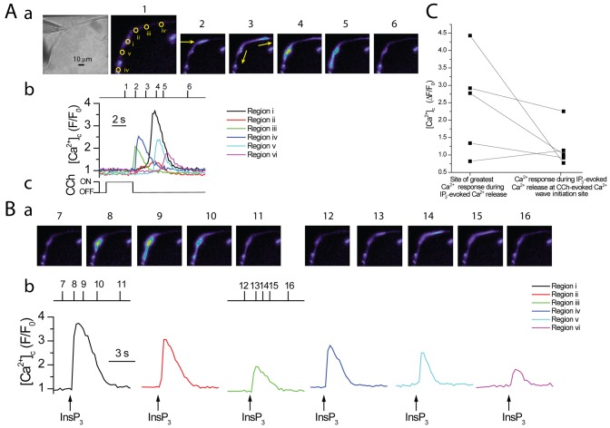 Fig. 3.