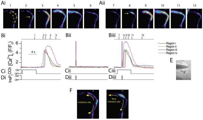 Fig. 7.